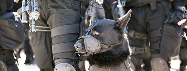 philadelphia police brutality lawyers
